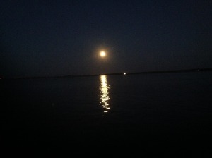 photo-17