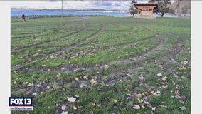 Two incidents of vandalism at Bellingham Parks will cost thousands to repair