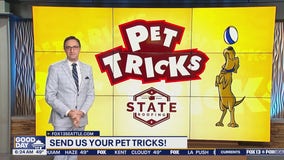 Pet Tricks for Friday, May 24