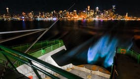 Photographer captures bioluminescent glow in wake of Seattle ferry