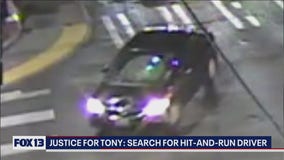 Justice for Tony: Search for hit-and-run driver