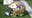 Former Husky football player alleges medical negligence in lawsuit against UW