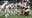 How to watch the 2024 Apple Cup