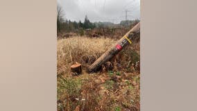 Deputies investigating after transmission lines vandalized in Renton