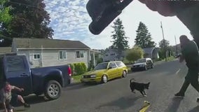 Lawsuit filed against Snohomish County sheriff's deputies who shot and killed dog, shot owner multiple times