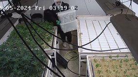 Security guard kidnapped during Tumwater marijuana facility break-in