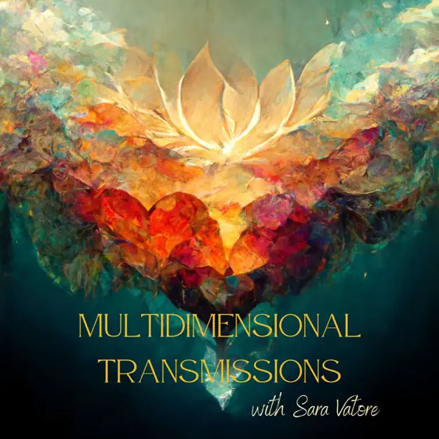 multidimensional-transmissions.webp